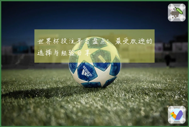 世界杯投注平台盘点：最受欢迎的选择与经验分享