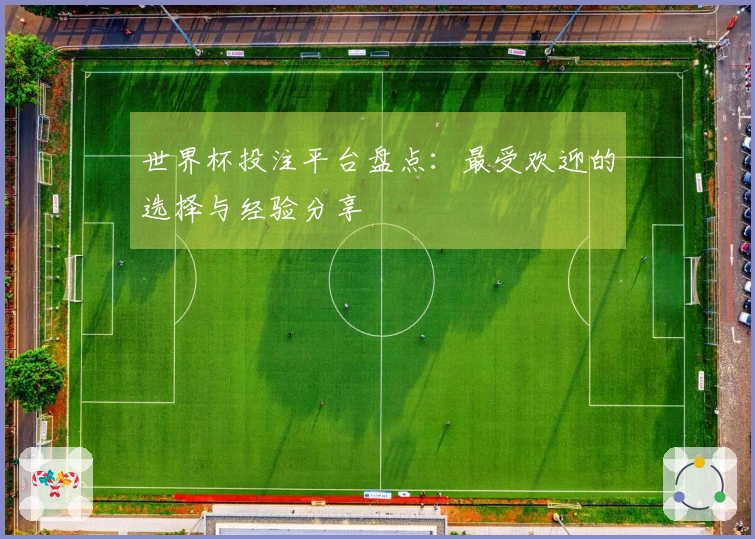 世界杯投注平台盘点：最受欢迎的选择与经验分享