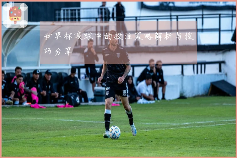 世界杯滚球中的投注策略解析与技巧分享