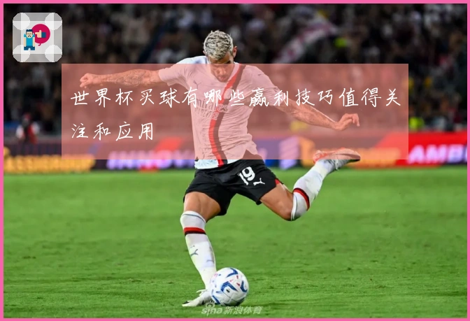 世界杯买球有哪些赢利技巧值得关注和应用